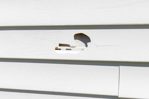  Maple Plain, MN Siding Installation & Repair Pros