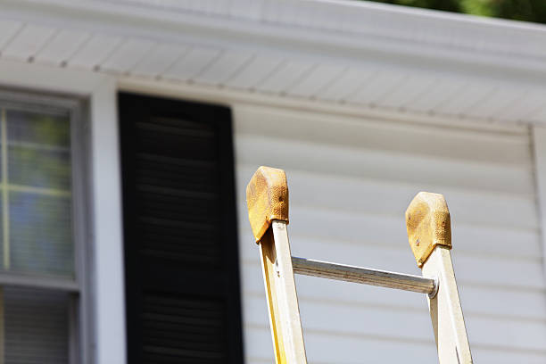 Trusted Maple Plain, MN Siding Installation & Repair Experts